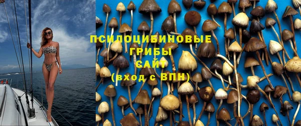 гидропоника Абинск