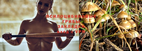 стафф Абаза