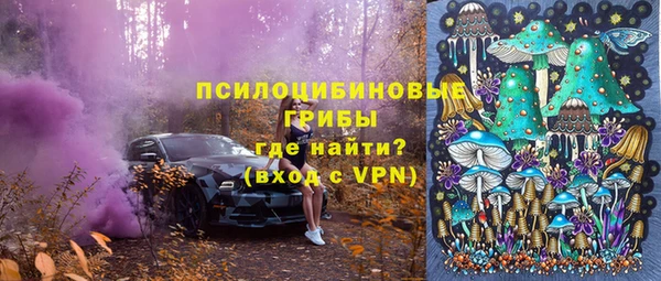 соль ск Алзамай