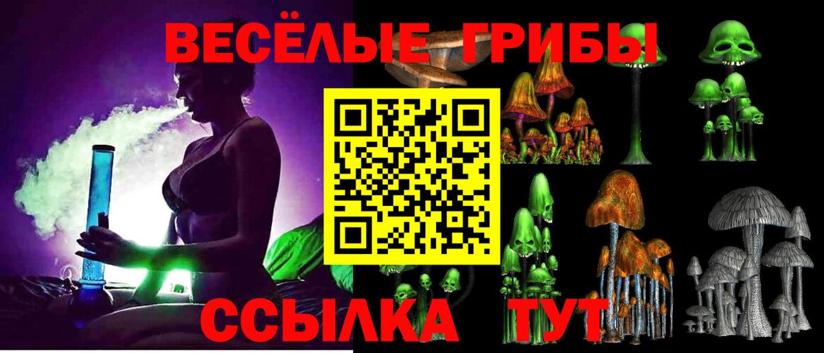 Галлюциногенные грибы Cubensis Учалы